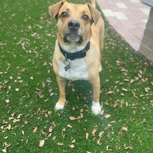 Meet your Posher, Kyle